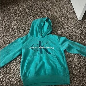 Calvin Klein Kids Aqua Hoodie